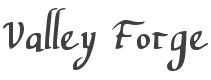 Valley Forge Font preview