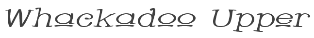 Whackadoo Upper Wide Italic style